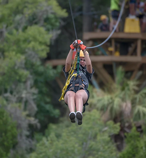 Zipline