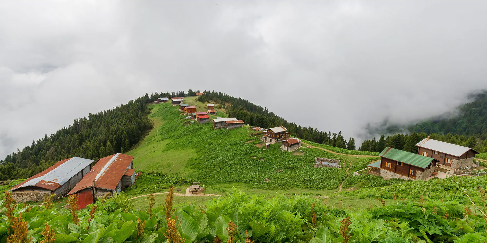  Pokut Plateau Tour