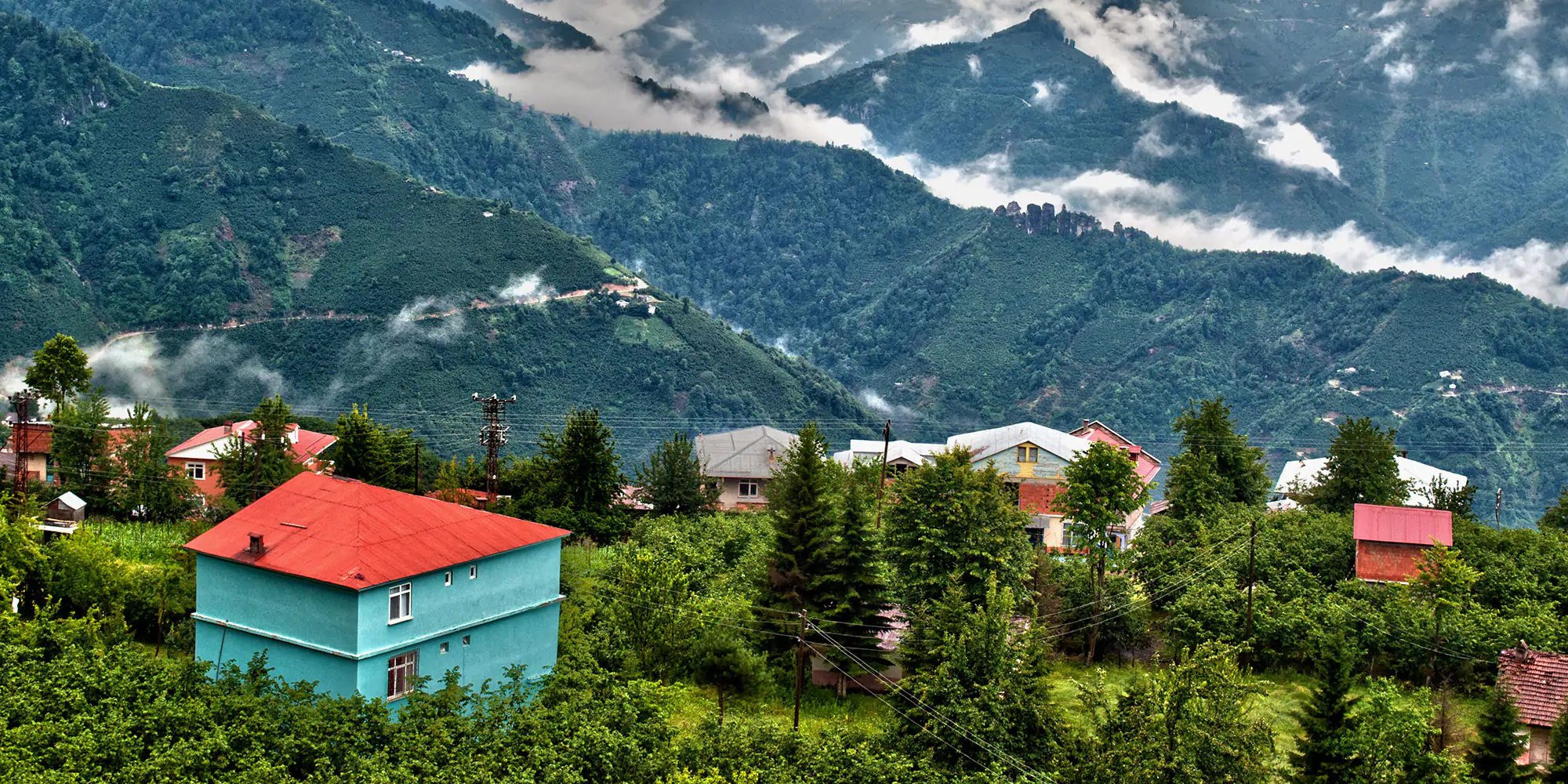 Ordu Tour