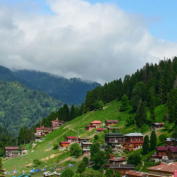 Ayder Plateau Tour