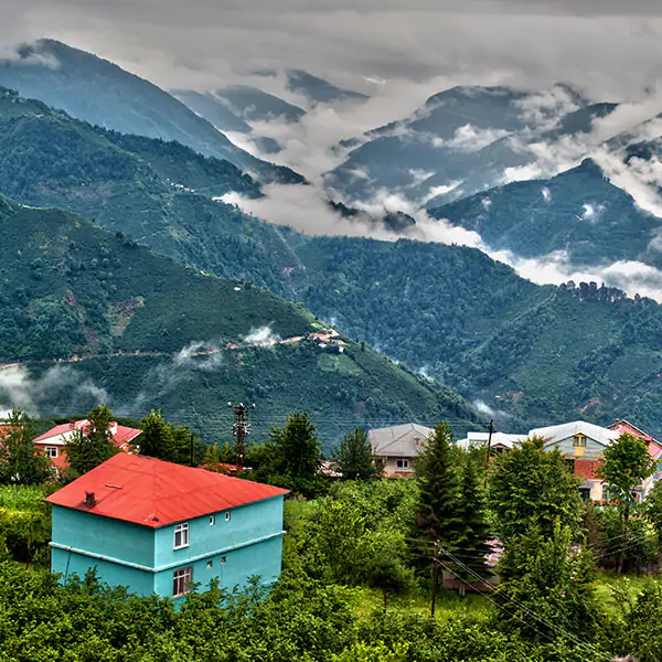 Ordu Tour